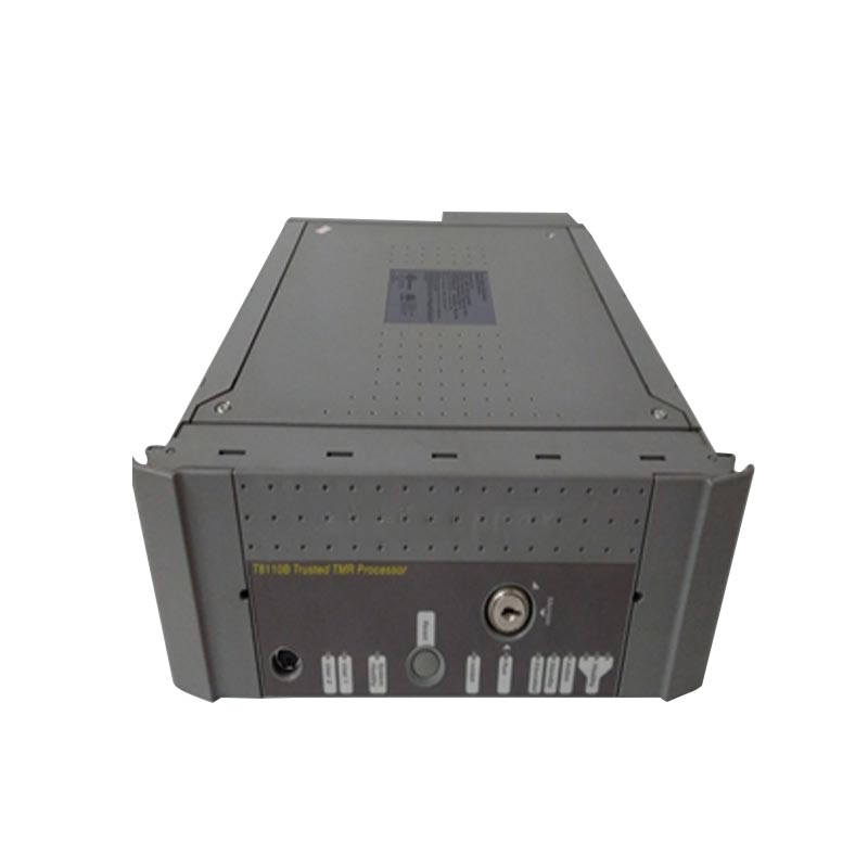 Wat zijn de basisprincipes van ICS Triplex?